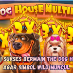 Kunci Sukses Bermain The Dog House agar Simbol Wild Muncul